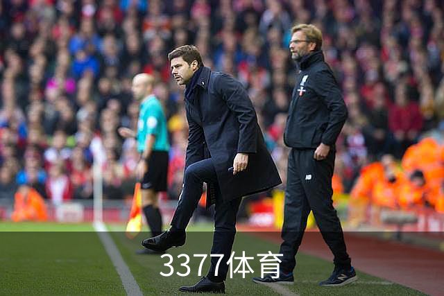 3377体育公司简介图片